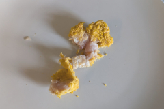 Nahaufnahme der Garergebnisse eines Chicken Nuggets aus der Ninja Double Stack XL (Foto: Testsieger.de)