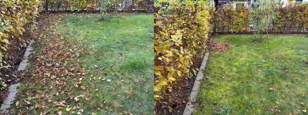 Zwei nebeneinander liegende Bilder, die den Zustand vor und nach dem Wegblasen des Laubes zeigen (Foto: Testsieger.de)